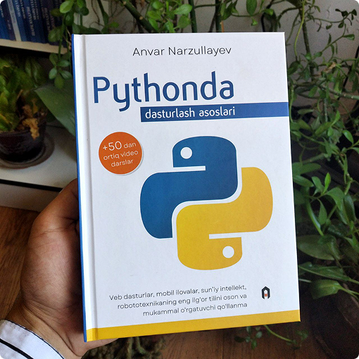 python book